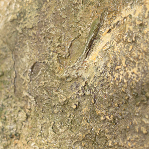 Feine Struktur und Materialität eines abstrakten Kunstwerks