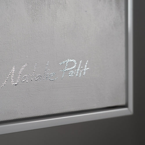 Nachtleuchtende Kunstwerke "Himmlische Schönheit"